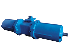 BW/BS氣動(dòng)執(zhí)行器